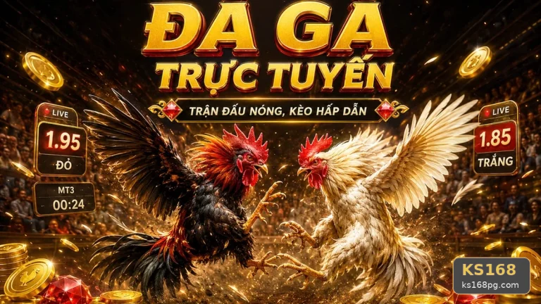 Giải Thích Khái Niệm Và Thuật Ngữ Cốt Lõi Đá Gà KS168: Quản Lý Phiên Chơi Trực Tuyến Toàn Diện Tại ks168pg.com